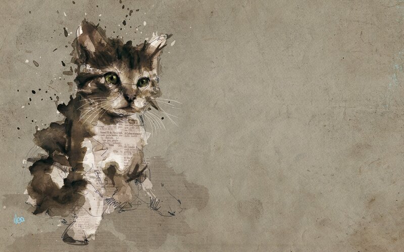 Kitten with Green Eyes — Brown, Calm