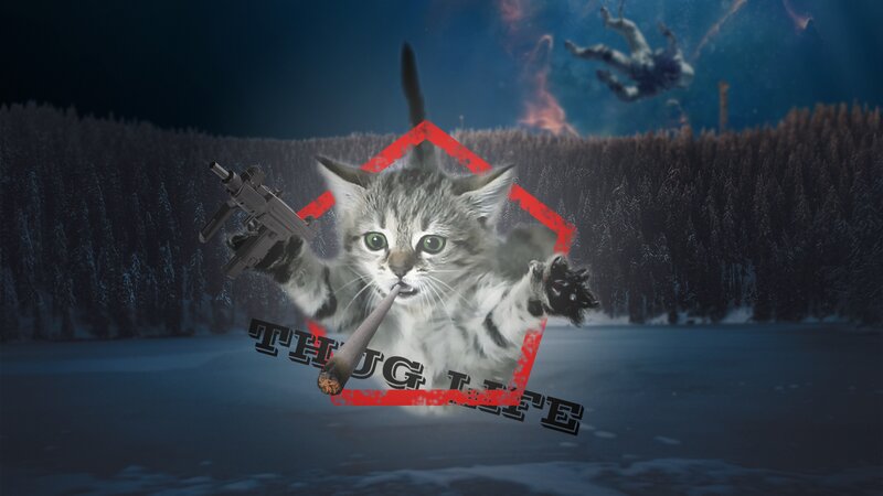 Kitten with Gun and Joint