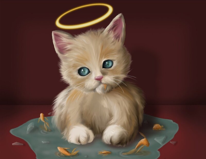 kitten with halo and fish