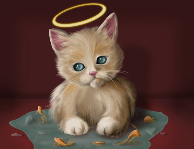 kitten with halo and fish