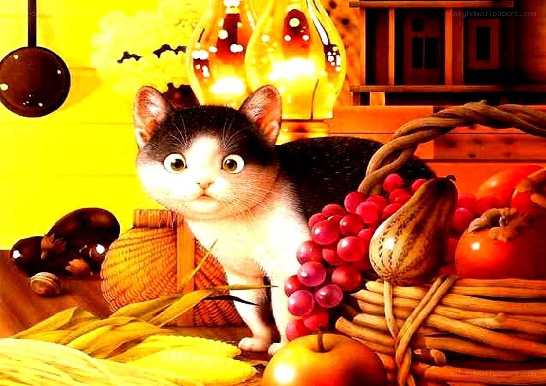 kitten with harvest basket