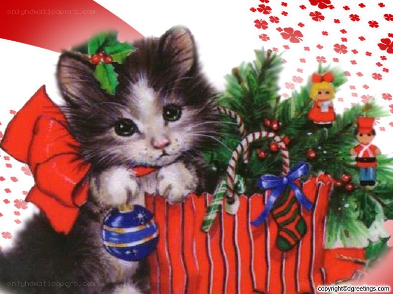 kitten with holiday ornaments