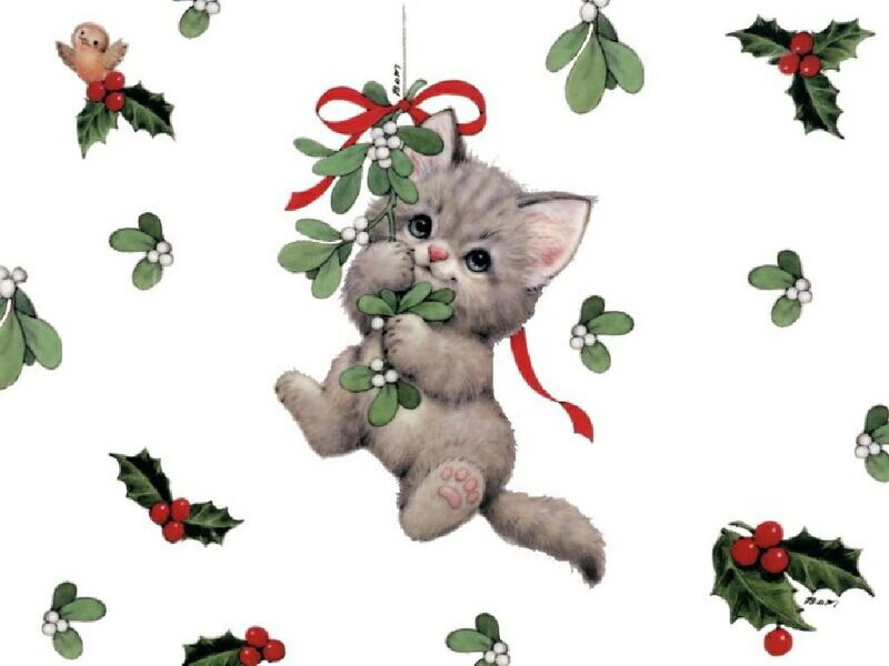 kitten with mistletoe