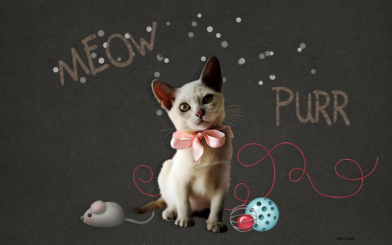 Kitten with Pink Bow — Gray