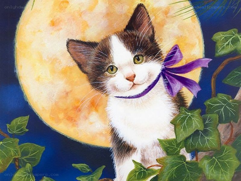 kitten with purple bow