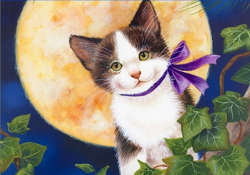 kitten with purple bow