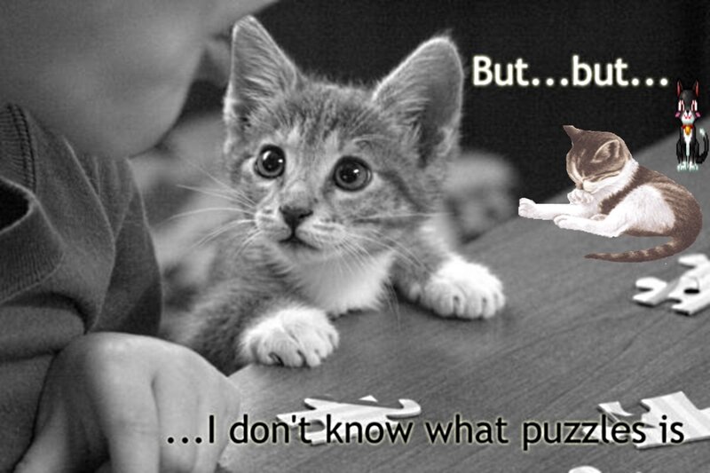 Kitten with Puzzle Pieces