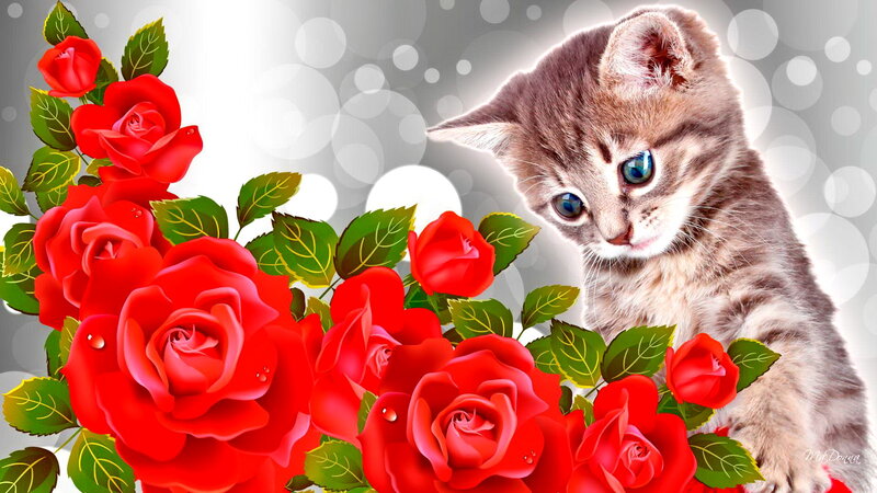 Kitten with Red Roses — Calm, Digital Art