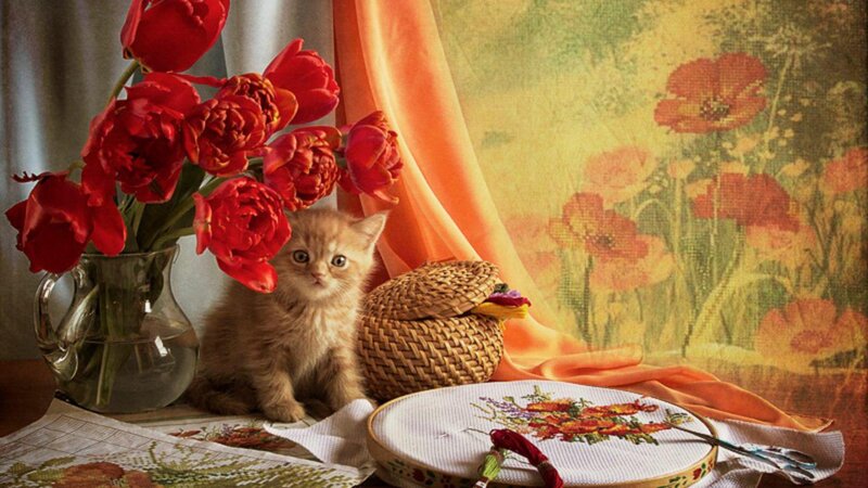 Kitten with Red Tulips — Serene