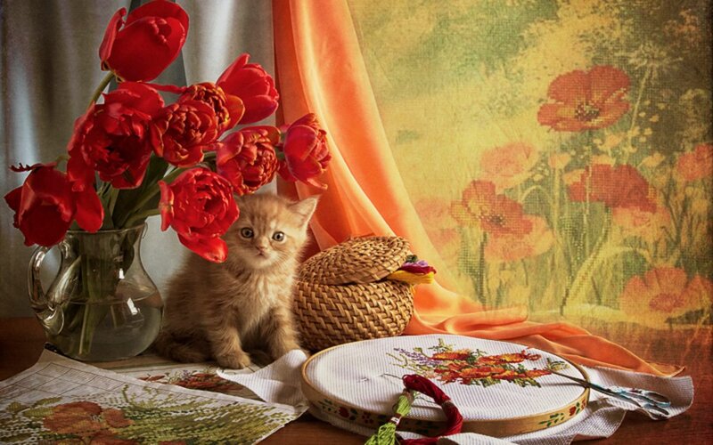 Kitten with Red Tulips