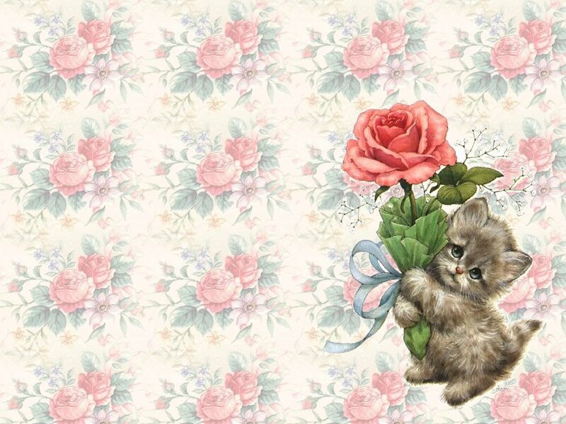 kitten with rose bouquet
