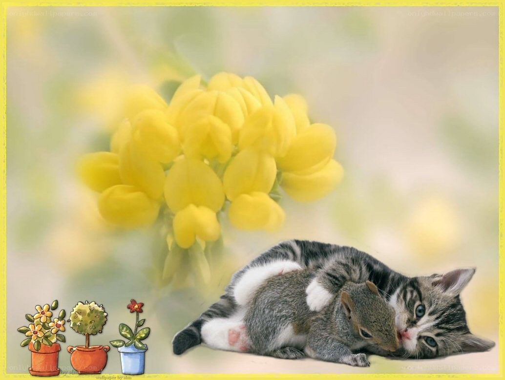 Kitten with squirrel and flowers