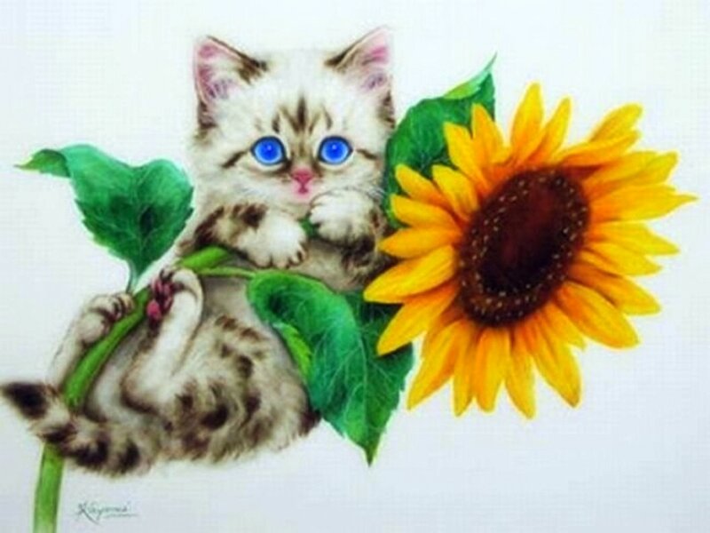 Kitten with Sunflower — Yellow