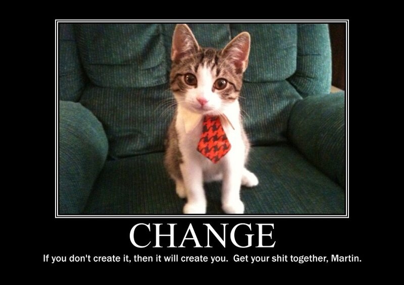 kitten with tie meme