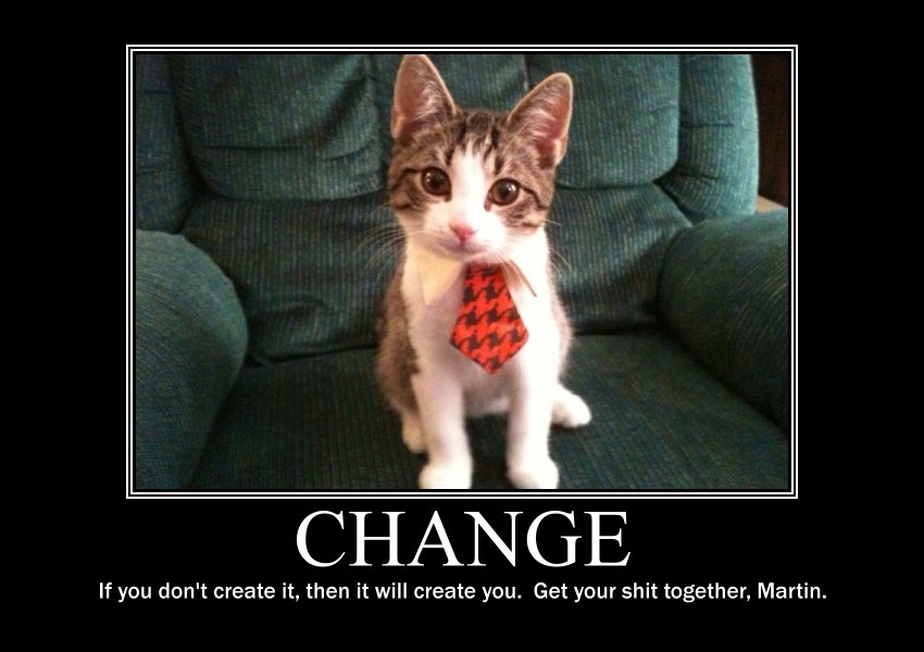 kitten with tie meme