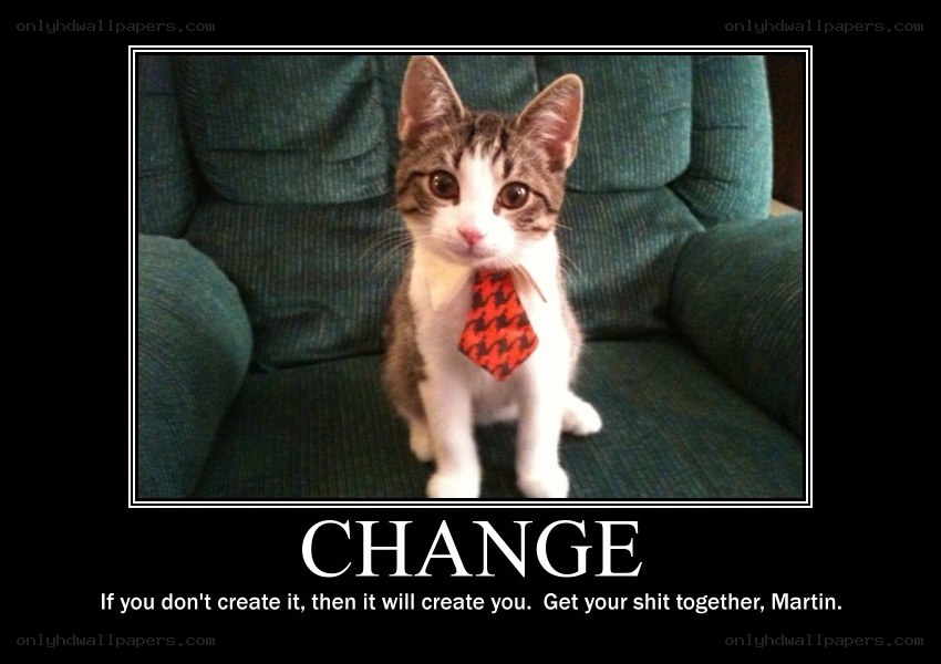 kitten with tie meme