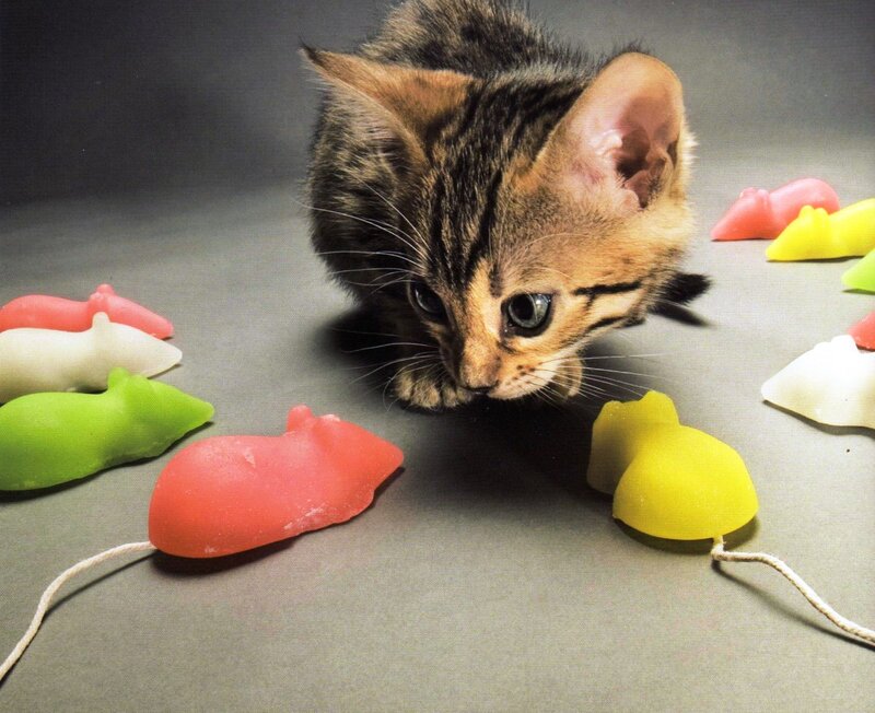 Kitten with Toy Mice