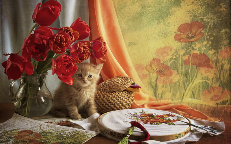Kitten with Tulips — Red