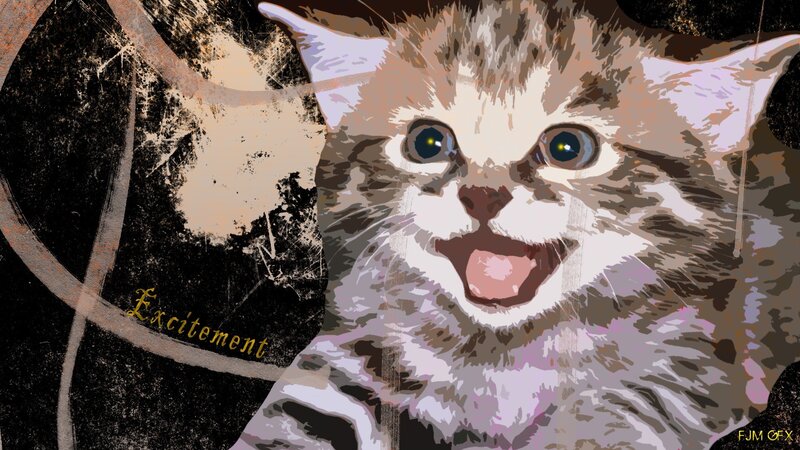 Kitten with Wide Eyes — Black, Excited