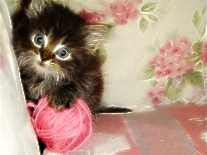 kitten with yarn ball