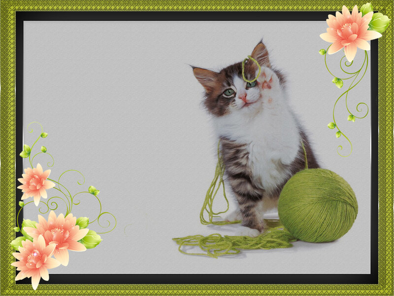 Kitten with Yarn Ball — Green