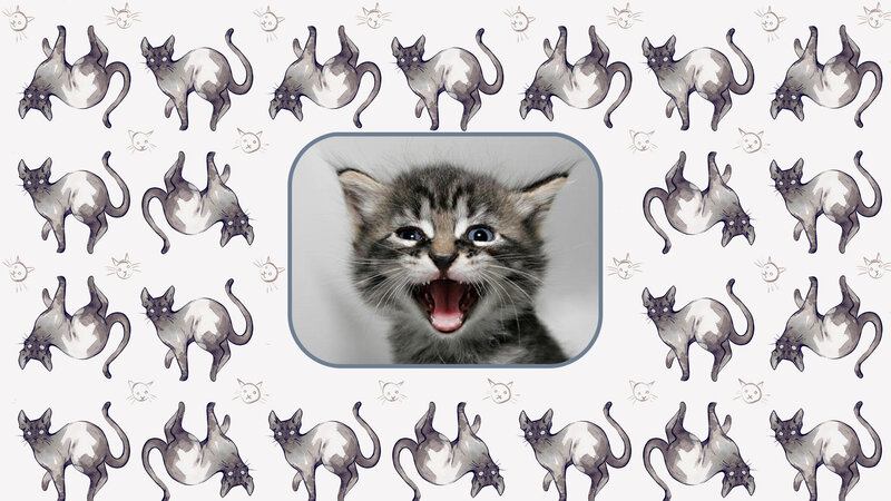 Kitten Yawning — Gray, Playful, Illustration