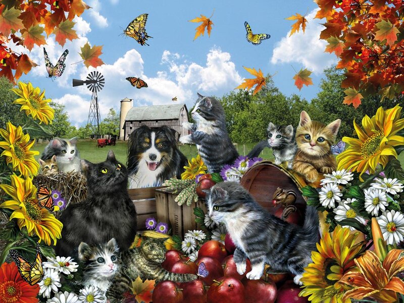 Kittens and a Dog on Farm