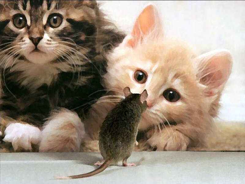 Kittens and a Mouse — Brown