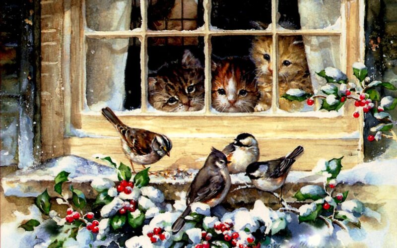 Kittens and Birds at Window — White