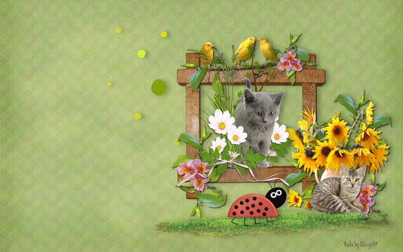Kittens and Birds in Frame