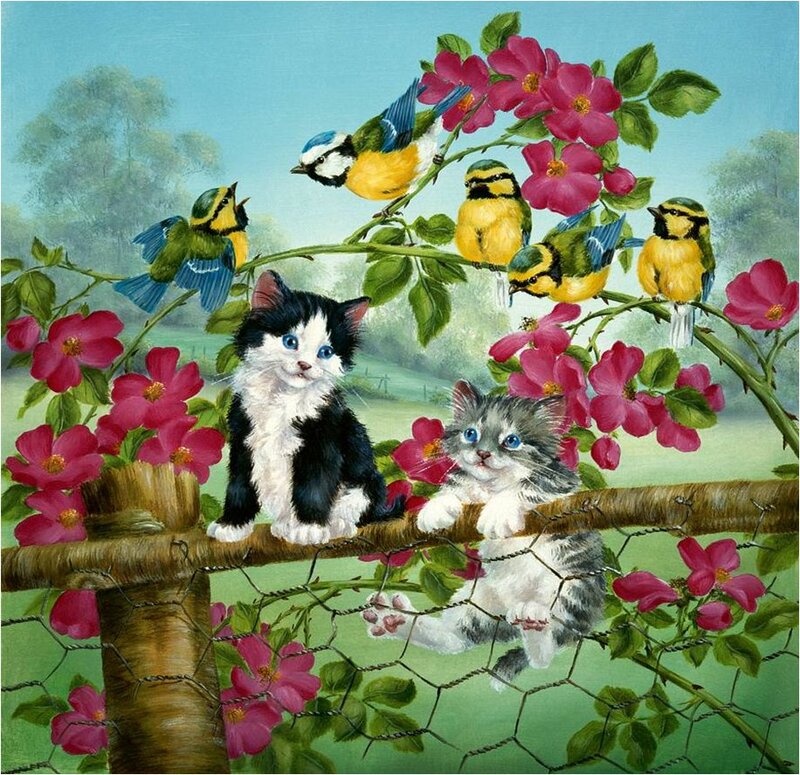 Kittens and Birds
