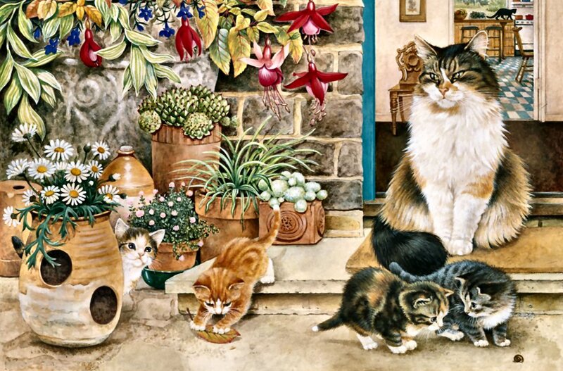 Kittens and Cat on Porch