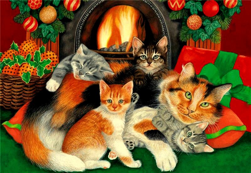 Kittens and Cats by Fireplace
