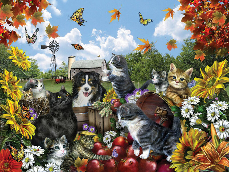 Kittens and Cats in Garden
