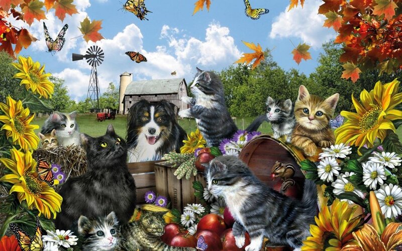 Kittens and Cats in Garden — Yellow