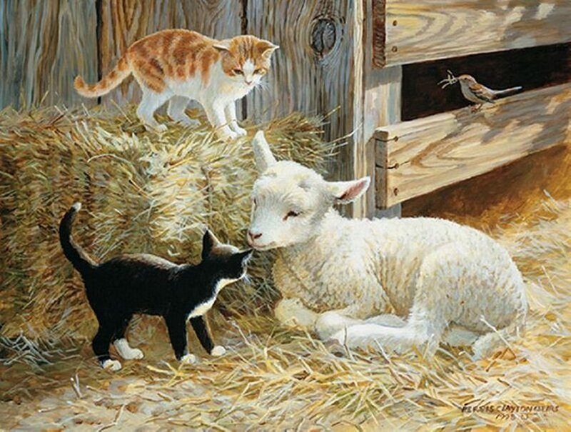 Kittens and Lamb in Barn