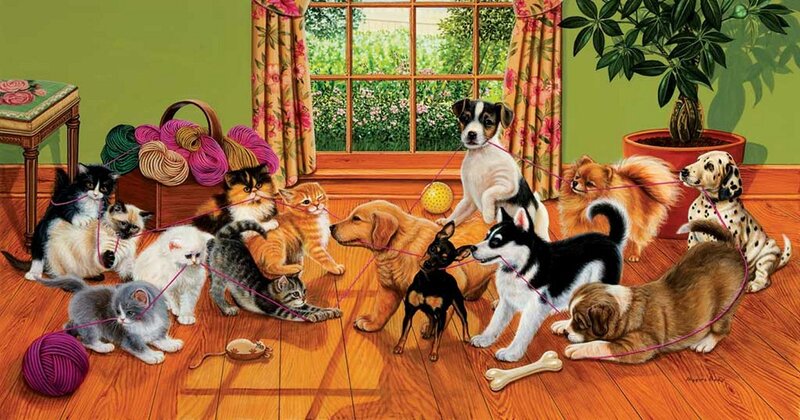 Kittens and Puppies Playing