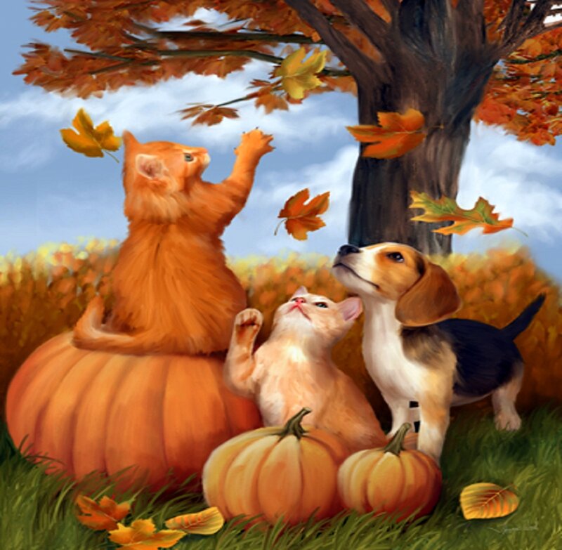 Kittens and Puppy in Autumn