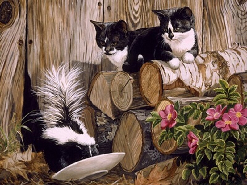 Kittens and Skunk — Brown