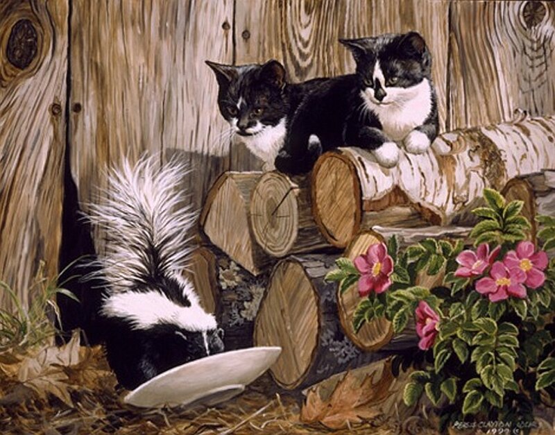 Kittens and Skunk