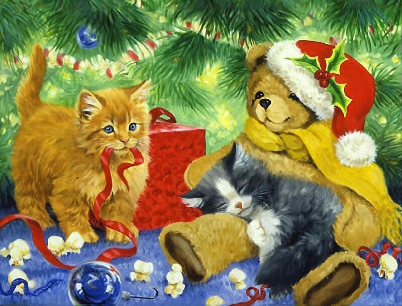 Kittens and Teddy Bear