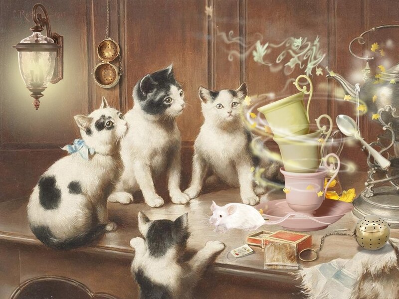 Kittens at Tea Party
