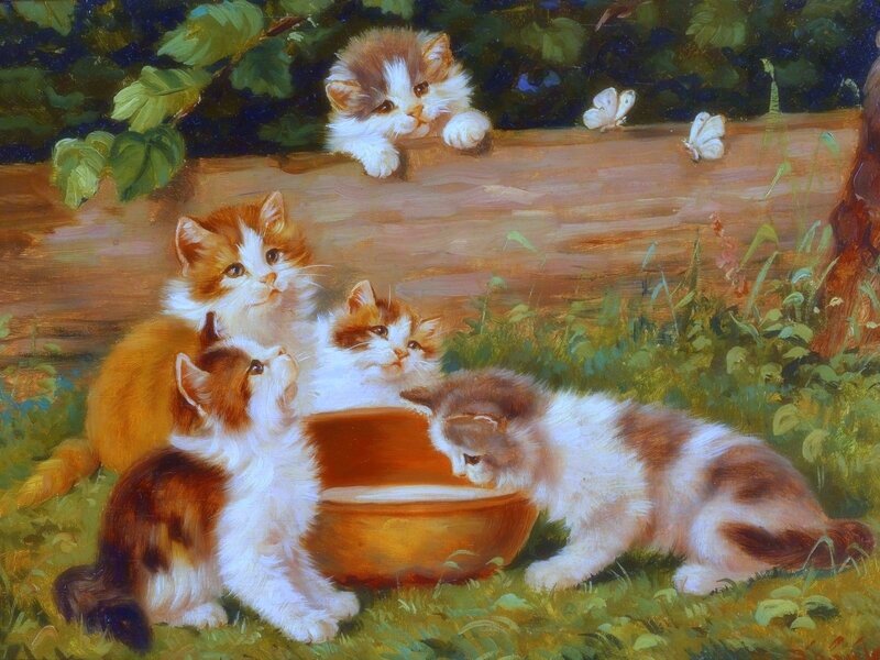 Kittens Drinking Milk — Green, Peaceful