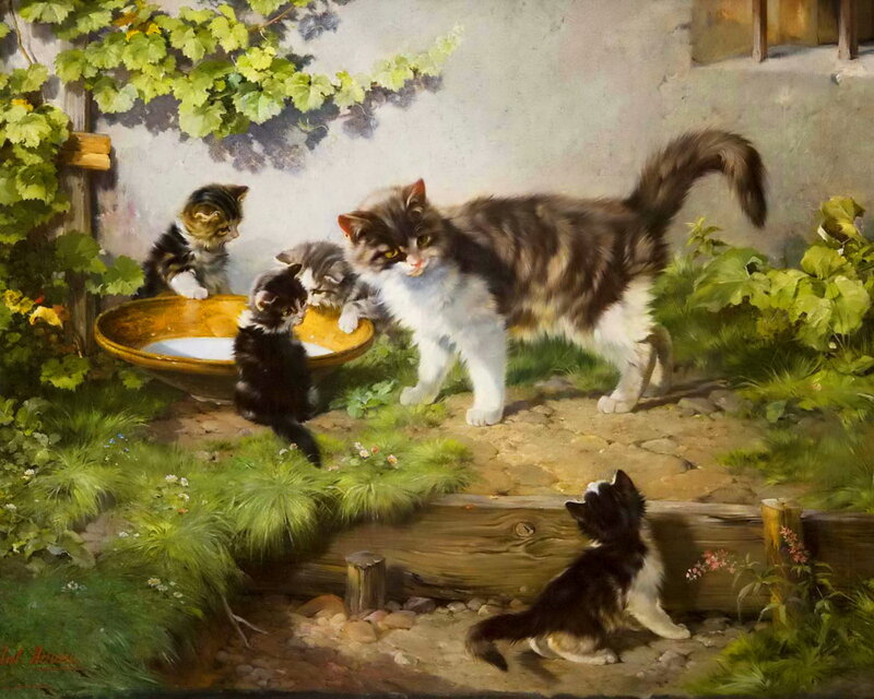 Kittens Drinking Milk