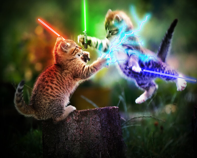 Kittens Fighting with Lightsabers