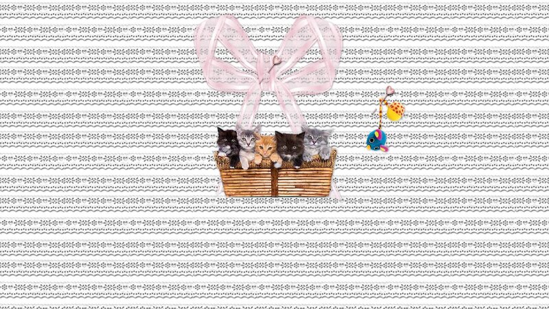 Kittens in a Basket — White, Cute