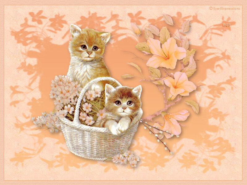 Kittens in a basket with flowers