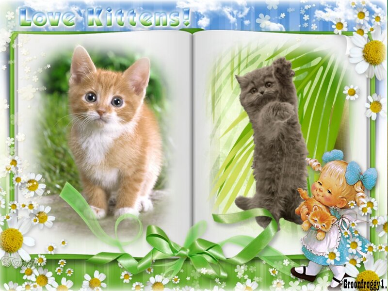 Kittens in a Book