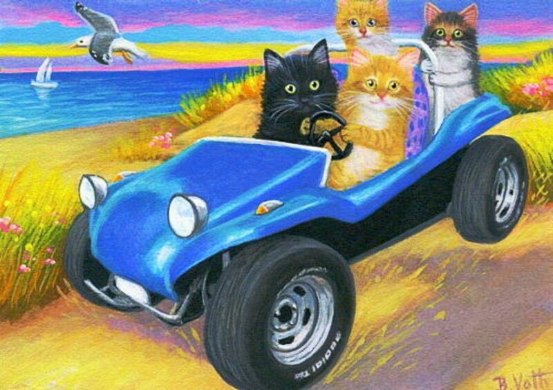 Kittens in a Car