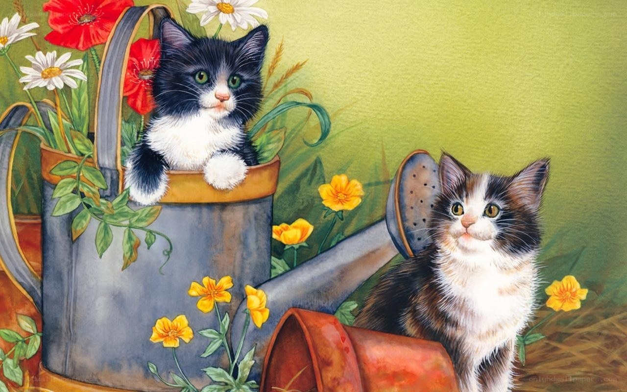 Kittens in a watering can